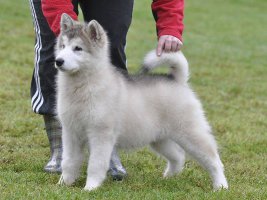 lilli-profil